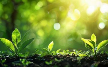 مسؤوليتنا في الحياة